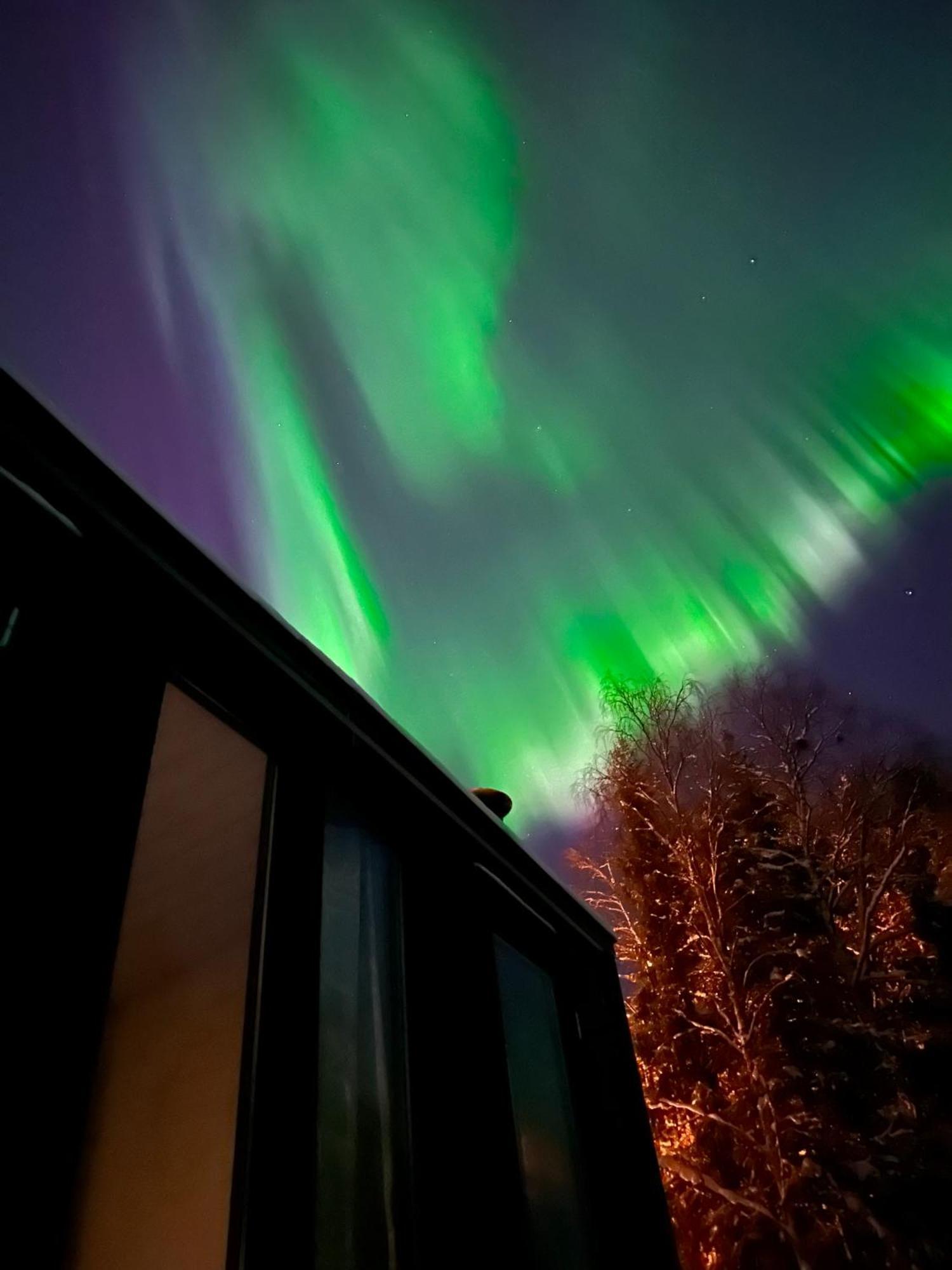 Aurora Forest Lodge ロヴァニエミ エクステリア 写真